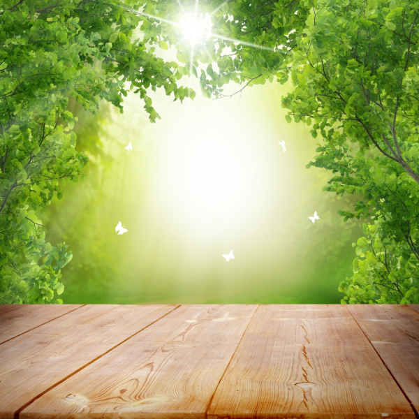 WhatsApp Image 2025-03-04 at 07.35.04